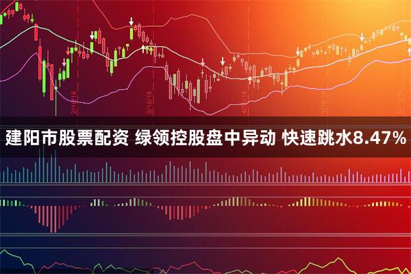 建阳市股票配资 绿领控股盘中异动 快速跳水8.47%