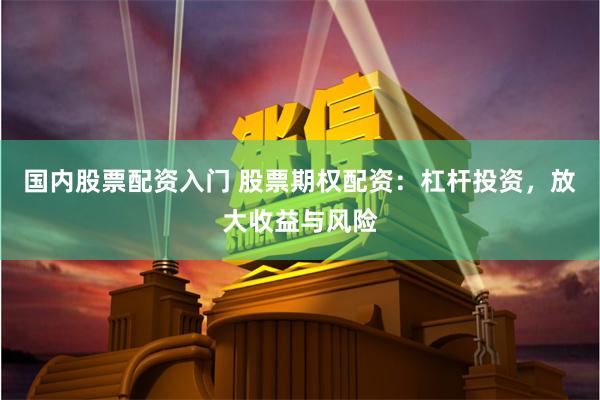 国内股票配资入门 股票期权配资：杠杆投资，放大收益与风险