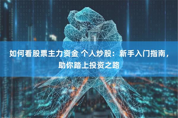 如何看股票主力资金 个人炒股：新手入门指南，助你踏上投资之路