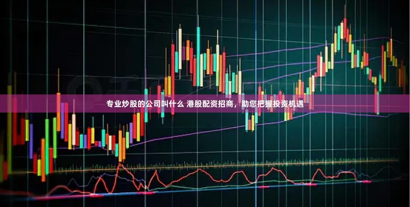 专业炒股的公司叫什么 港股配资招商，助您把握投资机遇