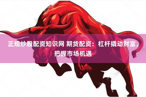 正规炒股配资知识网 期货配资：杠杆撬动财富，把握市场机遇