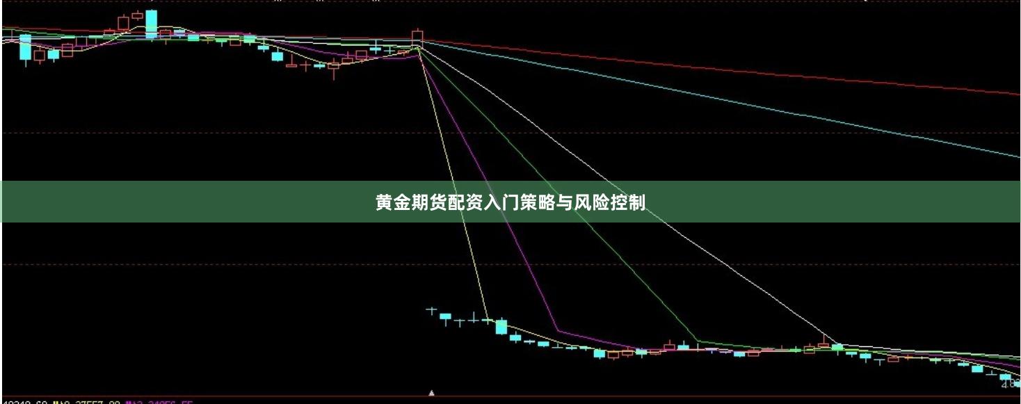 黄金期货配资入门策略与风险控制