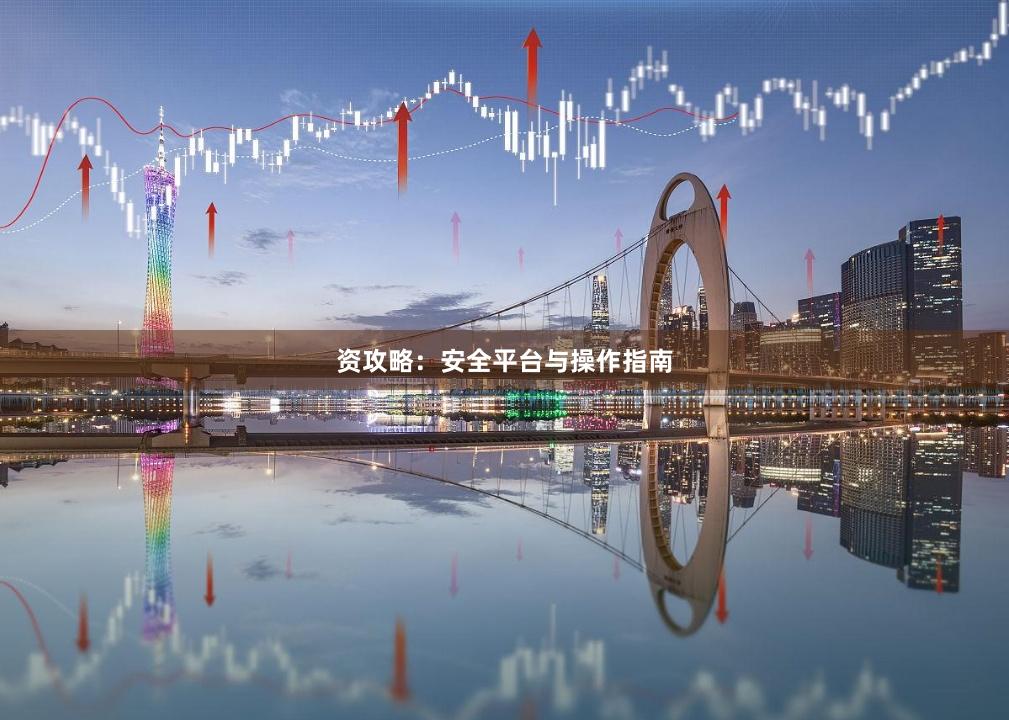 资攻略：安全平台与操作指南