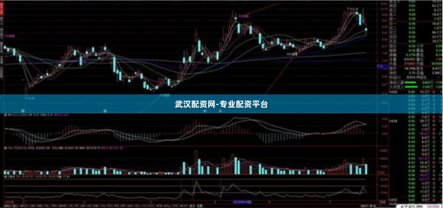 武汉配资网-专业配资平台